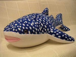 20060818.jpg