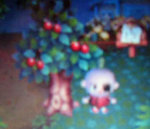 20070702.jpg