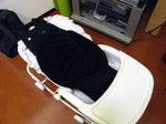 20080727002.jpg