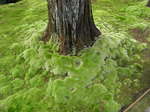 2010102607.JPG