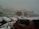 2011021301.jpg