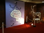 2011021303.jpg