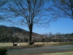 2011041701.jpg