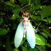 2011072402.jpg