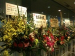 2012020304.JPG
