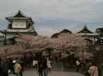 2012041401.jpg