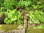 2012082304.JPG