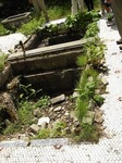 2012082306.JPG