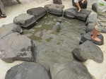 2012082312.JPG