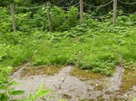 2012100409.JPG
