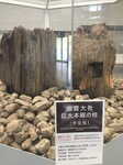 2013073104.jpg