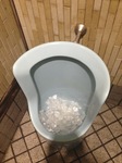 2013080608.jpg