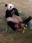 2013123004.jpg