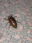 2014080111.jpg