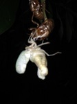 2014080114.jpg
