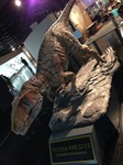 2014092305.jpg