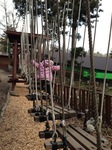 2014112005.jpg