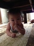 2015072502.jpg