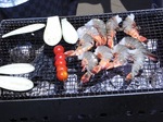 2015082310.JPG