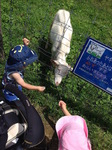 2016072206.jpg