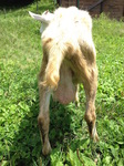 2016072207.jpg