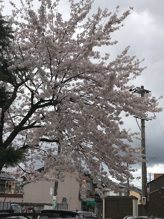 2017040803.jpg