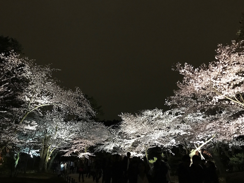 2017040901.jpg
