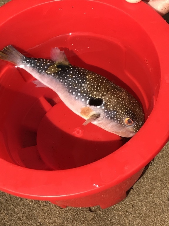 2017082015.JPG