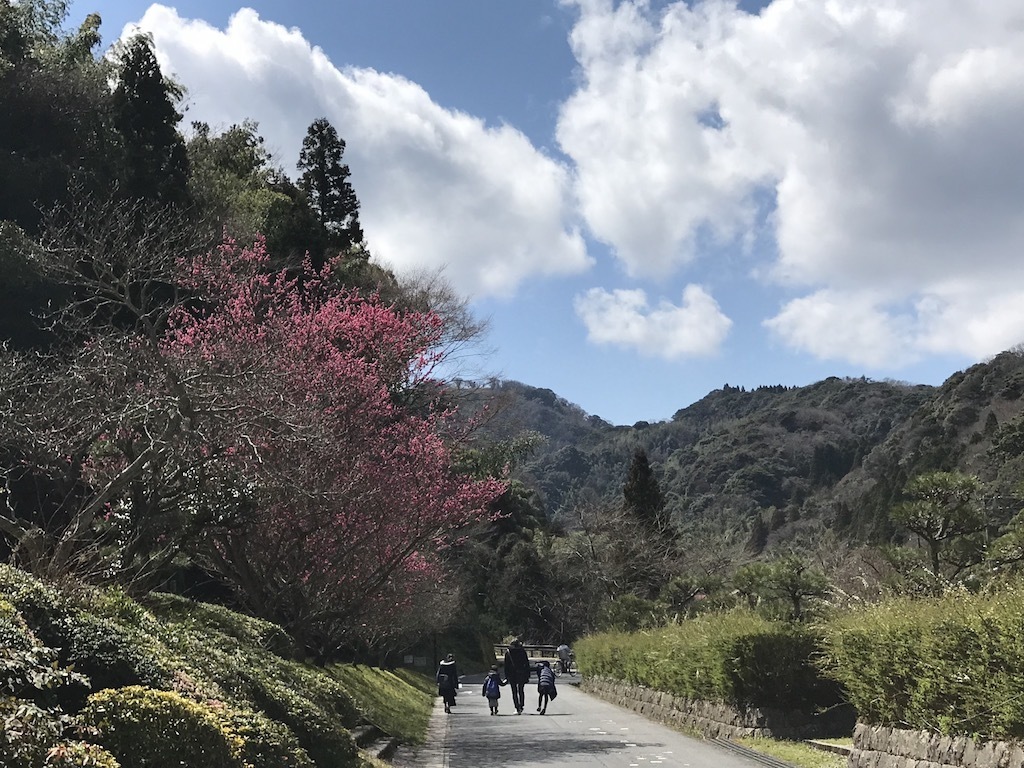 2019040206.jpg