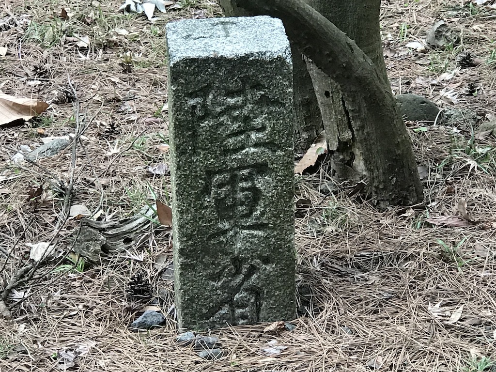 2019040808.jpg