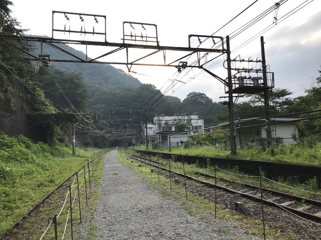2019081207.jpg