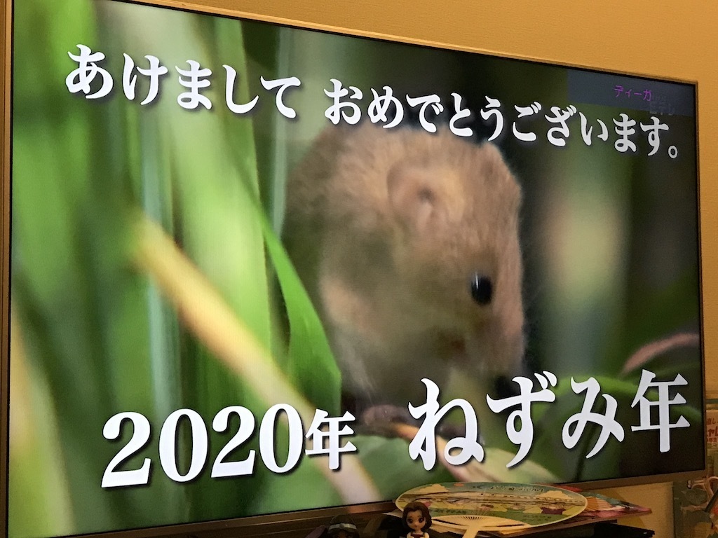 2020010101.jpg