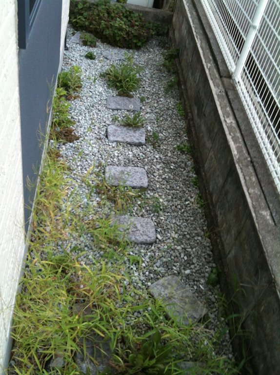 2020050301.jpg